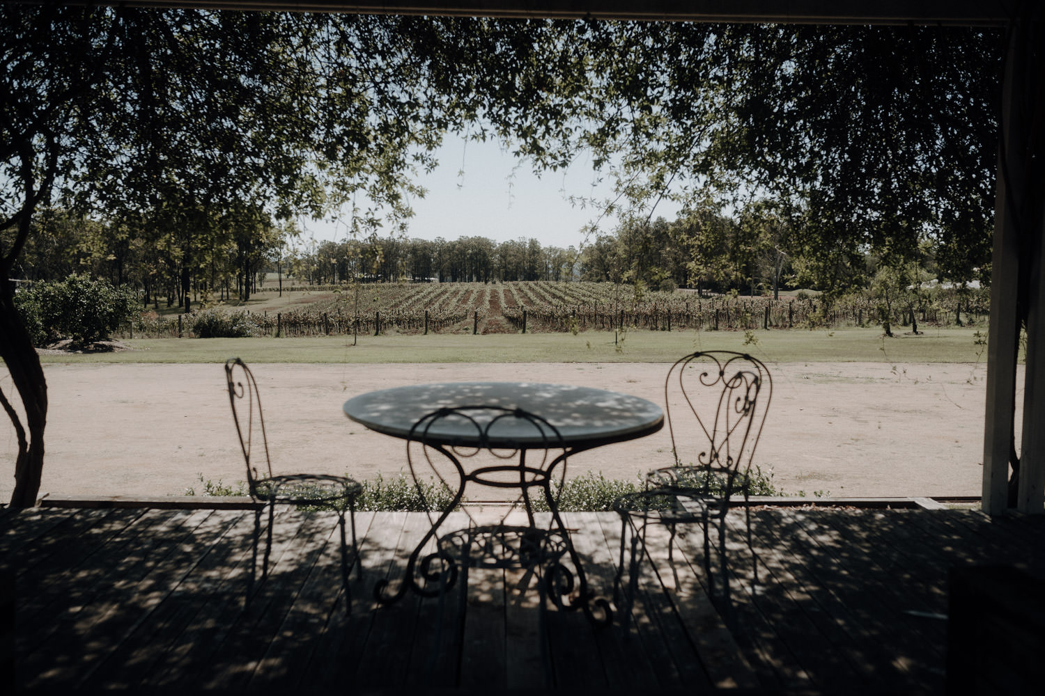Ausblick auf die Weinreben im Hunter Valley, Australien