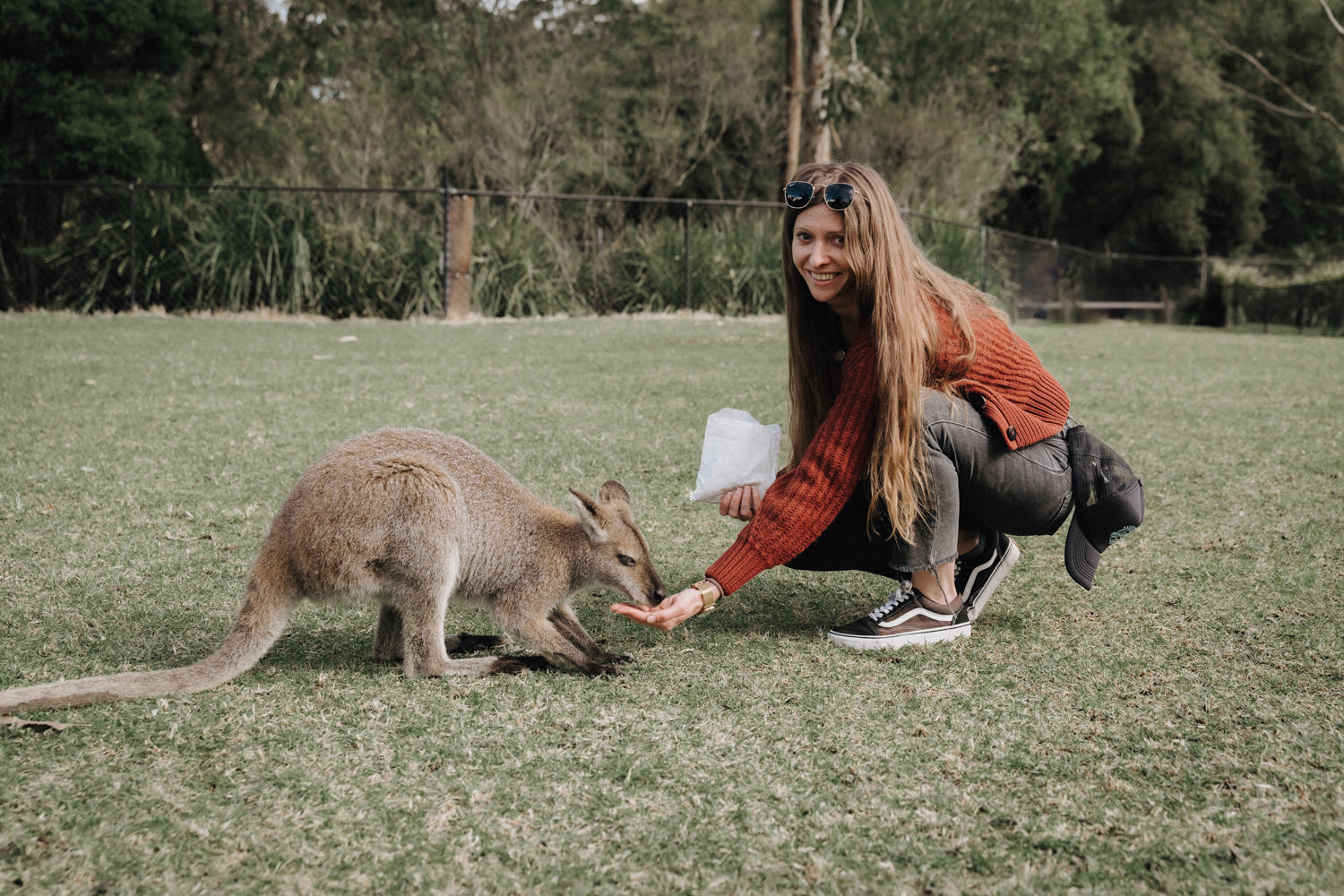 Eine Frau kniet in der Wiese und füttert ein Wallaby in Australien